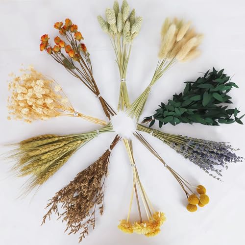 Set de flores secas naturales DIY, 130 piezas variadas miniatura 1