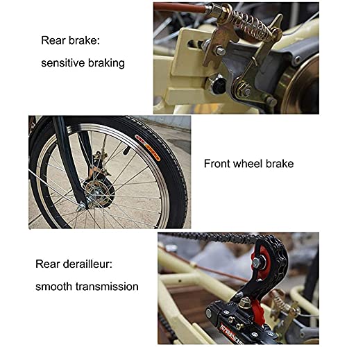 20-Zoll-Dreirad für Erwachsene, Single-Speed-Shopping, 3-Rad-Fahrräder mit Korb, dreirädriges Cruise-Bike für Outdoor-Sport-Picknick-Shopping (Beige) – Bild 4