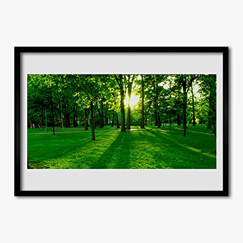 Affiche encadrée 70x50 cm parc forestier pour un salon nature