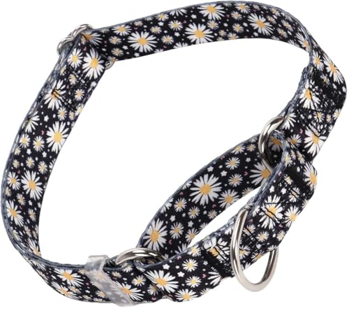 haoyueer p}[`Q[ցA߉\ȃ\tgiC̎փfUC킢fCW[fUCp^[ ^p(ubNA~fBA)