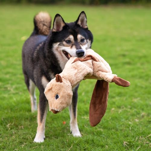 Image of Best Pet Supplies Squeaky Dog Toys with Soft Durable Fabric for Small, Medium and Large Pets Interactive Toy for Indoor Play, Supports Active Biting and Play - Squirrel, Large