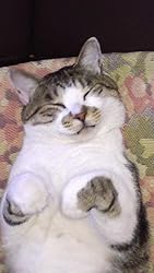 お客様イメージ