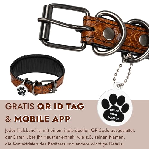 FAVPET Luxus Echtleder Windhund Halsband Breit mit QR Code Anhänger, Weiches Lederhalsband Hund Breit Whippet Italienisches Windspiel Saluki Lurcher Spanischer Galgo Greyhound Podenco (Braun, L)