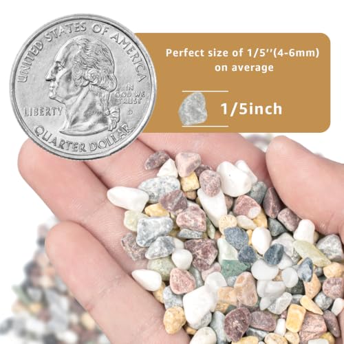 Image of 2lbs Natural Gravel Pebbles for Succulents and Cacti, 1 /5 Inch Decorative River Stones - Perfect for Vases, Aquariums, Terrariums, and Outdoor Gardening, Mixed Colors (Colorful, 2 Pounds)