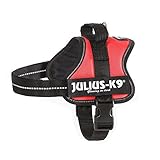 JULIUS K-9