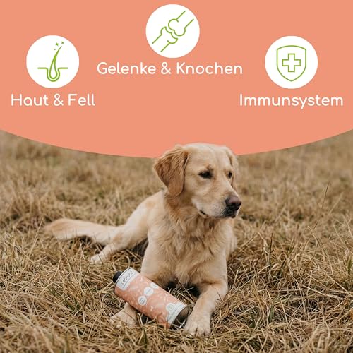 Wolfsbacher Natur Lachsöl Plus mit Algenöl für Hunde & Katzen 1 Liter