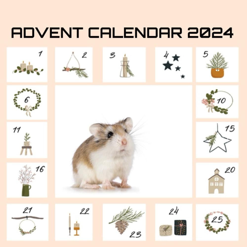 Advent Calendar hamster 2024: Advent calendar hamster 2024 : Advent calendar for kids, adults, and hamster lovers ... as well as an advent calendar and riddles
