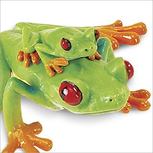 Amazon.co.jp: サファリ社フィギュア 100120 赤目アマガエル