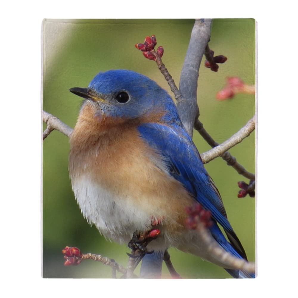 CafePress Red Bud Bluebird Throw Blanket Super Soft Fleece Plush Throw Blanket, 60"x50"