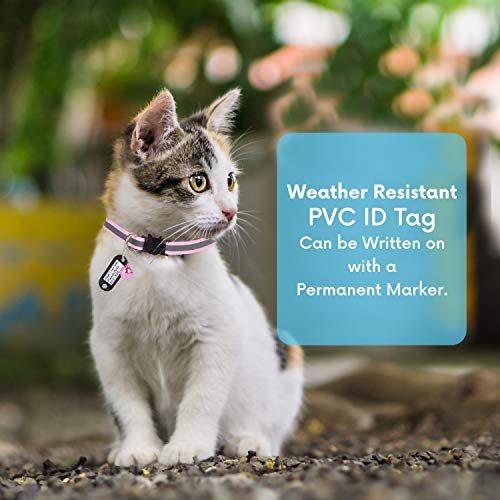 Elanz 6 Pack Reflective Breakaway Cat Collar With Bell & Id Tag – Adjustable, Super Soft, Durable Nylon Cat Collars – Multicolor With Safety Buckles & Weatherproof Id Tags For Kittens & Cats #TOP4