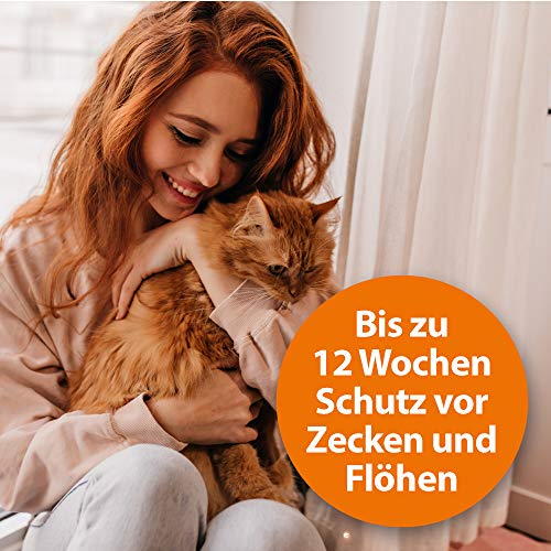 ARDAP Spot On für Katzen bis 4kg - Natürlicher Wirkstoff - Zeckenmittel für Katzen, Flohmittel Katzen, Zeckenschutz Katze - 3 Tuben je 0,4ml - Bis zu 12 Wochen nachhaltiger Langzeitschutz (PT19)