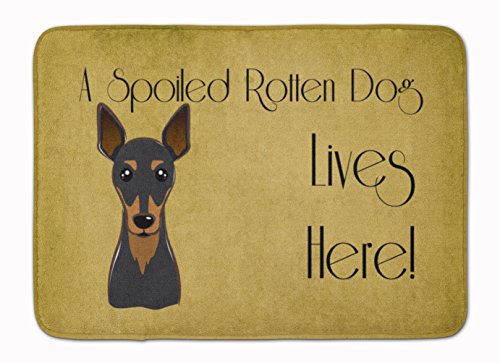 Caroline's Treasures BB1488RUG Min Pin Spoiled Dog Lives Here Machine Washable Memory Foam Mat, Bathroom Rug, Non-Slip Bath Mat, Durable Thick Washable Rugs for Kitchen, Bathroom Quick Dry, Decorative