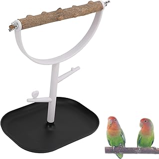Parrots Stand, Portable Desktop Bird Playstand Parrots Training Stand for Parakeets Cockatiels Lovebirds Bird Training Stand Table Top Bird Perch Bird Playground Bird Stand Parrot Perch Stand