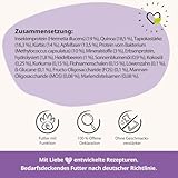 BugBell 800g BellyVital - Premium Trockenfutter mit Insekten - Fettreduziertes Trockenfutter für Hunde - Verdauung & Darmflora mit Präbiotika - Hundefutter trocken mit Löwenzahn