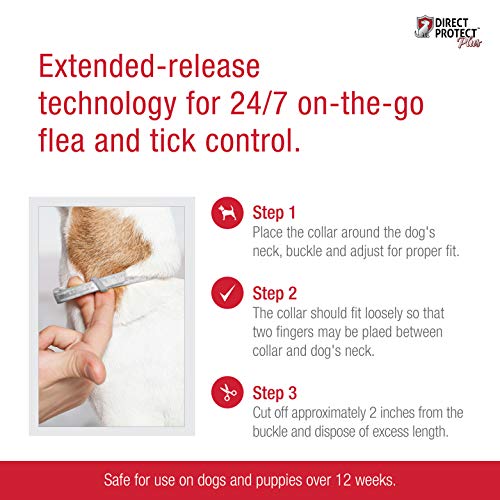 Direct Protect Plus Flea & Tick Collars for Dogs & Puppies, One Size Fits All, 2-Pack, 12 Months Protection - Image 5