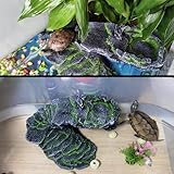 bangminda B0C7VL6CTT lato 2