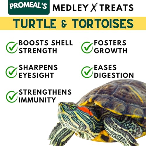 Image of Insect Medley Treat for Turtle and Tortoise - Nutritious Dried Mealworms, Superworms, Crickets & More - Natural, Protein-Rich Food Mix (30gm)