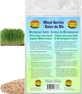 Wheat Berries Microgreen/Wheat Grass Seeds | Baies de Blé Graines de Micropousses | Organic & Non-GMO | Net Wt. 250 Grams (Approx. 6,900 Seeds) | High Germination Rate | Product of Canada