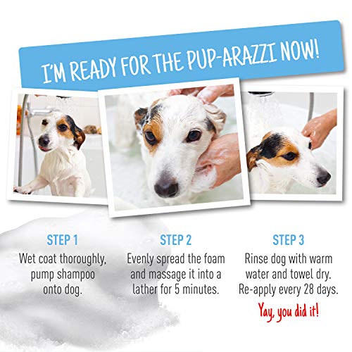 Adams Plus Flea & Tick Foaming Shampoo & Wash for Dogs & Puppies Over 12 Weeks Sensitive Skin