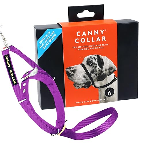 Canny Collar Hundehalfter – Anti-Zug Kopfgeschirr für Hunde | Stoppt Ziehen an der Leine sanft & effektiv | Trainingshilfe für entspannte Spaziergänge – Größe 6, Lila