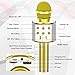 SUNY Wireless Bluetooth Karaoke Microphone with Speaker & Record Function, Best Gift Singing Toy for Kid (Gold)