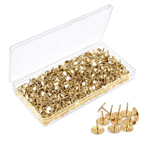 500 Stück Goldene Reißzwecken Edelstahl Rostfrei Reißnägel Gold Reißnägel Rostfrei Metall Heftzwecken Edelstahls Rostfreie Reißzwecken Metall Reißnägels Großer Kopf Outdoor Flach