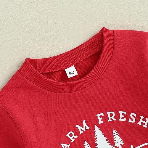 Toddler Baby Boys Girls Christmas Outfit Letter Print Long Sleeve Sweatshirt Tops Long Pants Set Fall Clothes3