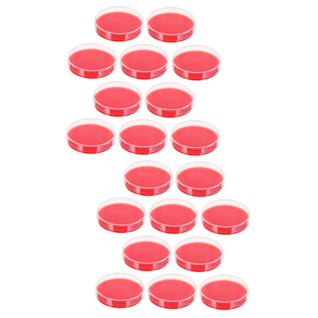 2 Set Mezzo Di Crescita Agar Mezzo Di Crescita Di Laboratorio Piastra Di Agar Terreno Di Coltura Terreno Di Laboratorio Agar Mezzo Di Agar Pe Rosso 10 Pezzi*2