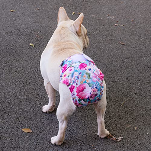 Image of CuteBone Washable Dog Diapers Female No Tail Hole 3 Pack Reusable Doggie Period Training Pants for Docked-Tail Frenchie French Bulldog Boston Terrier Without Tail WWD04S