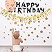 Whaline 1st Birthday Baby Photo Banner for Newborn to 12 Months, Monthly Milestone Photograph Bunting Garland, First Birthday Celebration Decoration (Gold)