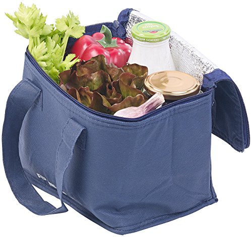 Pearl Deportes y Aire Libre - Bolsa de congelador: Bolsa térmica Mini aislada, 2 Correas de Transporte, 6 litros (Pequeños Fresca por en la Carretera, congelador pequeño, Enfriador Botellas)