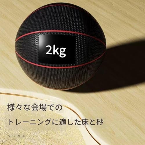 Vilom 砲丸投げ 練習用 ソリッドサンドボール