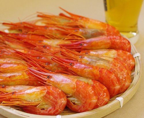 kC ܂  TOO iTOOłQO`ROOj kCY N[֑Ή