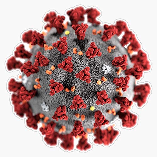 CNW Studio Coronavirus COVID-19 Merchandise Vinyl Decal Wall Laptop Car Bumper Sticker 5'