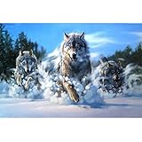 5D Diamond Painting Kürbiswagen Bär Wolf Gehorsam Hund Eule Kreuzstich Living / Art und Weise Geklebte Stickerei DIY Malerei (A, 30*40cm) 5D-Diamantbild zum Selbstmachen, Malen nach Zahlen, Motiv mit Rehkitz, Kaninchen und Stinktier, Strass-Stickerei, Kreuzstich, Verzierungen, Kunst, Handwerk, Leinwand, Wanddekoration Diamond Painting Set,Frau Drache, 5D Diamant Painting Set Full Stickerei Groß Bilder DIY Diamonds Malerei, 30x40cm (Home Schlüsselringe Set, 7X 5.5cm pro Aufkleber)