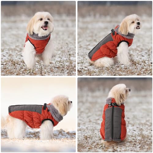 Savlot Hundemäntel für Kaltes Wetter Gemütliche Winddichte Winter-Hundejacke Dick Gepolsterte Warme Weste mit Geschirr für Welpen Kleine Mittelgroße und Große Hunde (L, Rot)