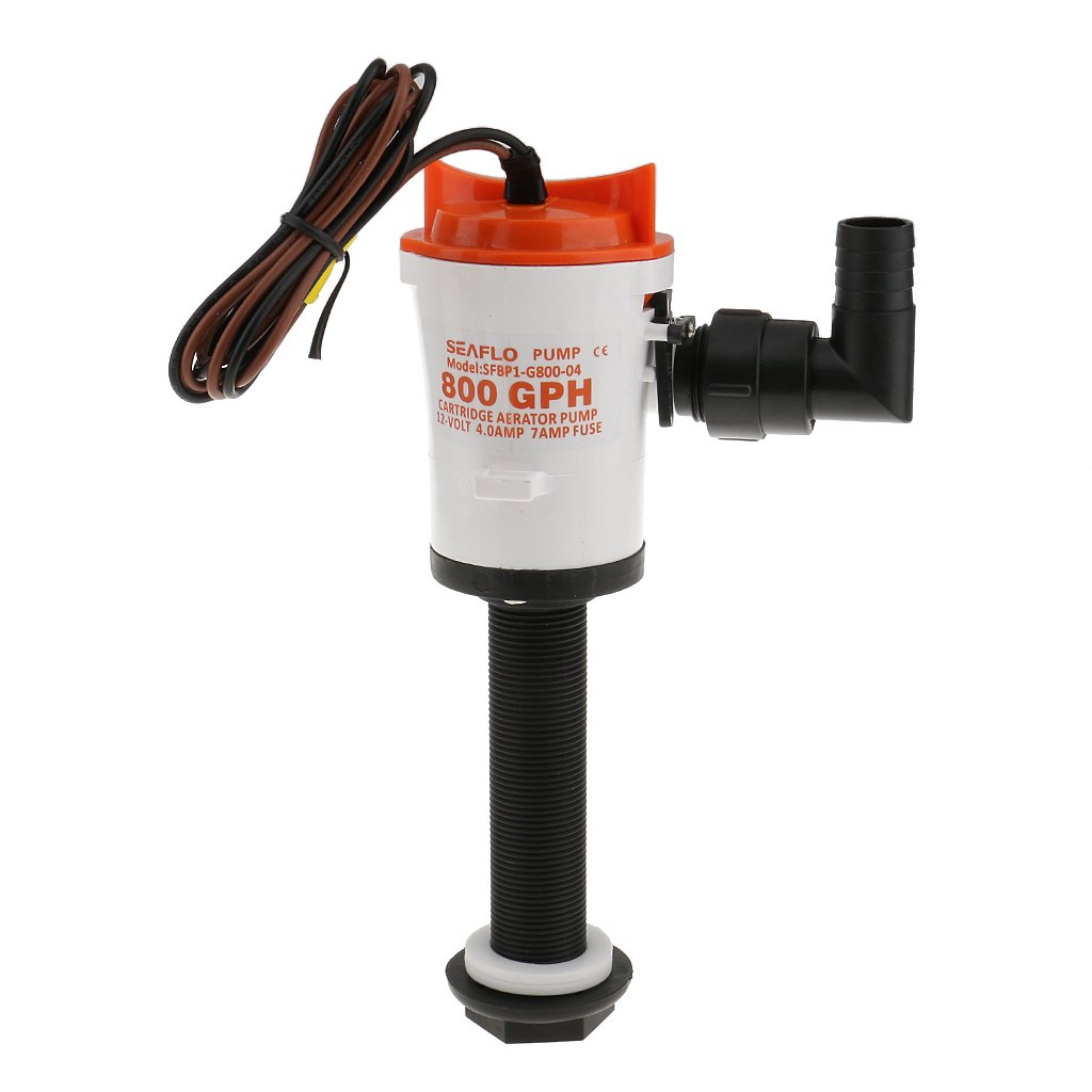 D Dolity Seaflo 12 V 800 gph Livewell Bait Well pompa sommersa pesca RV
