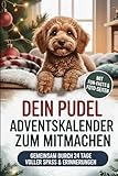 DEIN Pudel Adventskalender zum Mitmachen: Gemeinsam durch 24 Tage voller Challenges, Fakten und typischen Pudel Momenten | Das perfekte Geschenk für Pudel-Fans