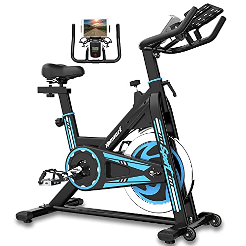 GOFLYSHINE Exercise Bikes Stationary,Exercise Bike for Home Indoor Cycling Bike for Home Cardio Gym,Workout Bike with 35 LBS Flywheel (Black&Blue)