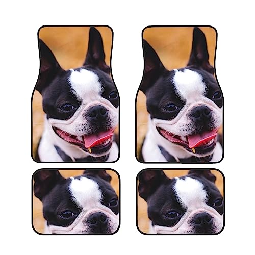 Tapis de sol de voiture imperméables motif chien pour protéger la moquette de SUV