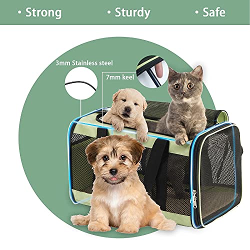 Phoenix Kiss Large Cat Carrier for 2 Cats Soft Portable Pet Carrier