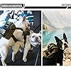 OneTigris-Dog-Pack-Backpack-Durable-Small-Medium-Dog-Pack-with-Litter-Bag-Exit-for-Camping-Hiking-Daily-Walking-Ranger-Green-X-Small Adventure Companion - OneTigris Dog Pack: Durable Dog Pack for Camping, Hiking & Walking