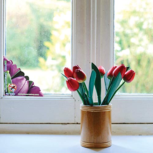 Consejos y reviews para comprar Pegamento para cucarachas que puedes comprar esta semana. 26 Imagen adicional