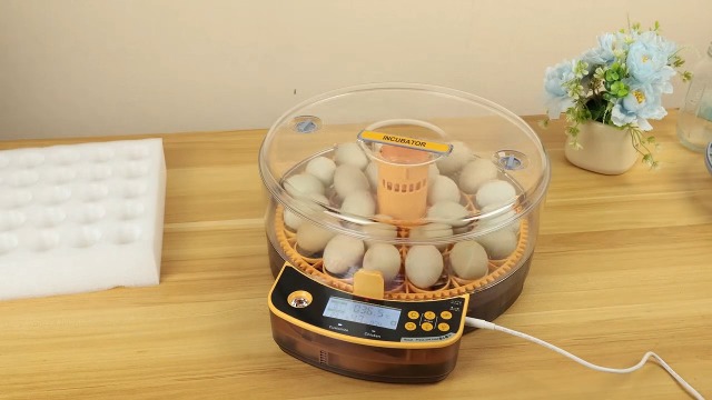 Amazon.com: JUJOJB 48 Egg Incubator for Hatching Eggs, Double