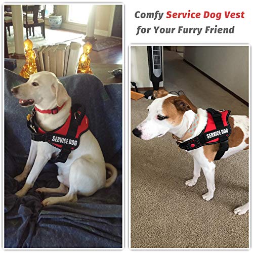 Fayogoo Dog Vest Harness For Service Dogs, Comfortable Padded Dog Training Vest With Reflective Patches And Handle For Large Medium Small Dogs #TOP5