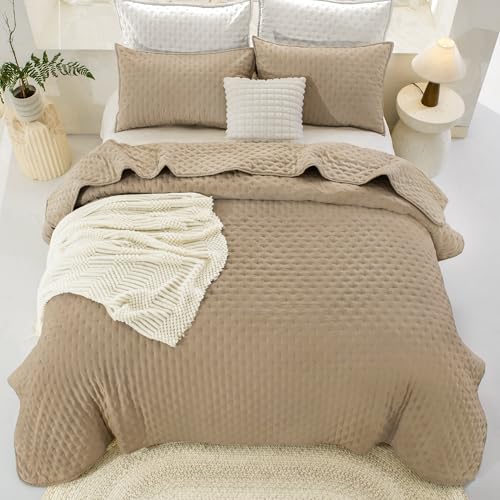 Image of Andency Beige Queen Size Quilt Bedding Set (90x96 Inch), 3 Pieces Soft Lightweight Bedspread Coverlet, Boho Summer Quilt Queen Size for All Season
