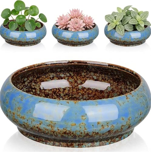 Ceramic Lotus Bowl Planter Non-Draining Water Plant Pot Glazed Succulent Bowl for Lotus Seeds Narcissus Hydroponic Water Lily Zen Indoor Garden Ideal Housewarming Gift Blue