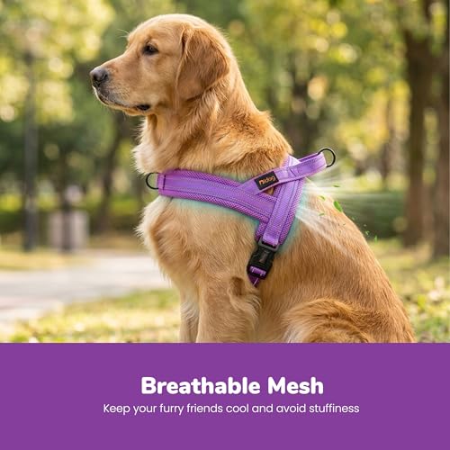 Image of Didog No Pull Dog Harness for Large Dogs, Breathable Mesh Padded, Purple, L | Quick Fit, Easy On and Off, Lightweight, Reflective Vest Harness for Night Safty, Easy for Walking and Training, Chest 26-32 inch
