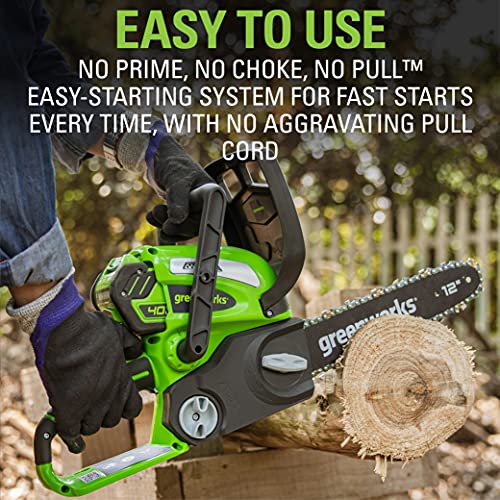 Greenworks 40V 12-Inch Cordless Chainsaw | Battery Powered Electric Handheld Chainsaw | Auto Oiler Portable for Garden Yard Maintenance Tree Felling, Firewood Cutting Logging Pruning, Tool Only by Greenworks - Image 5