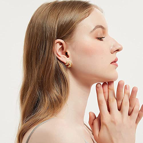 Hoop Earrings Small Chunky Huggie Earrings Dainty Wide Earrings Set For Women Girls,2 Sizes2